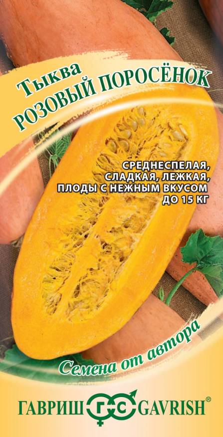 Семена Тыква Розовый поросёнок, 2 г - фото