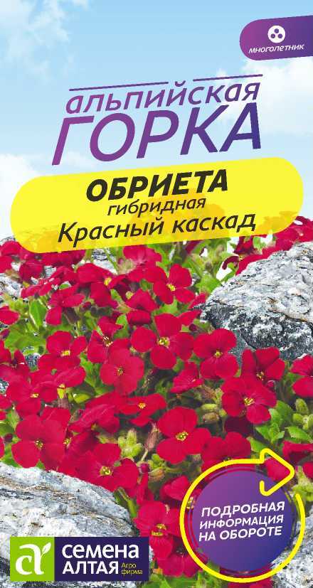 Семена Обриета Красный каскад, 0,03 г - фото