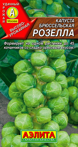 Семена Капуста брюссельская Розелла, 0,3 г Аэлита - фото