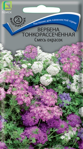 Семена Вербена тонкорассеченная смесь окрасок, 0,02 г - фото