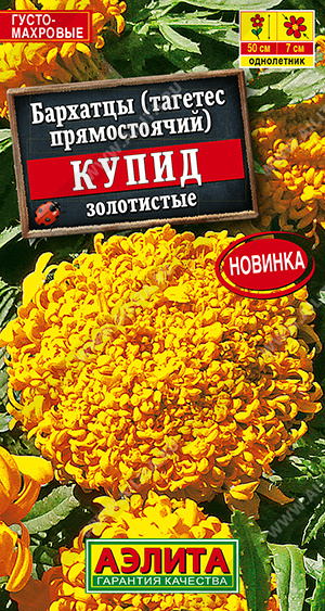 Семена Бархатцы Купид золотистые хризантемовидные, 0,1 г - фото