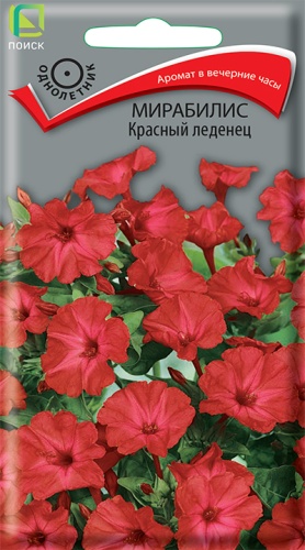 Семена Мирабилис Красный леденец, 1 г - фото