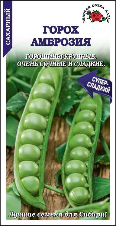 Семена Горох Амброзия, 10 г Золотая Сотка Алтая - фото