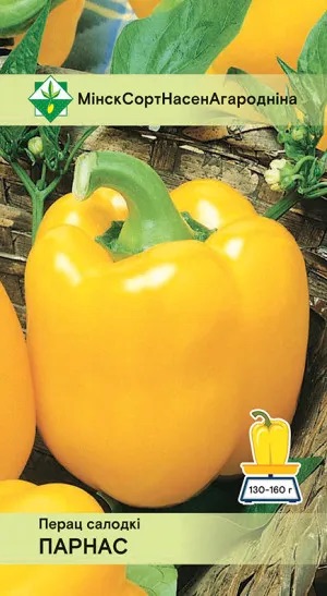 Семена Перец Парнас, 15 шт - фото