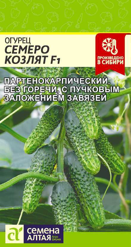 Семена Огурец Семеро Козлят, 5 шт - фото