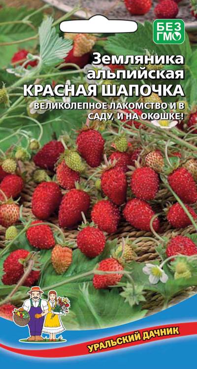 Семена Земляника альпийская Красная шапочка, 0,05 г - фото