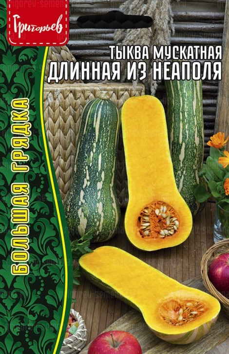 Семена Тыква мускатная Длинная из Неаполя, 4 шт - фото