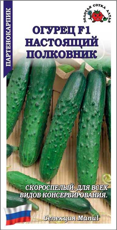 Семена Огурец Настоящий полковник F1, 0,15 г - фото