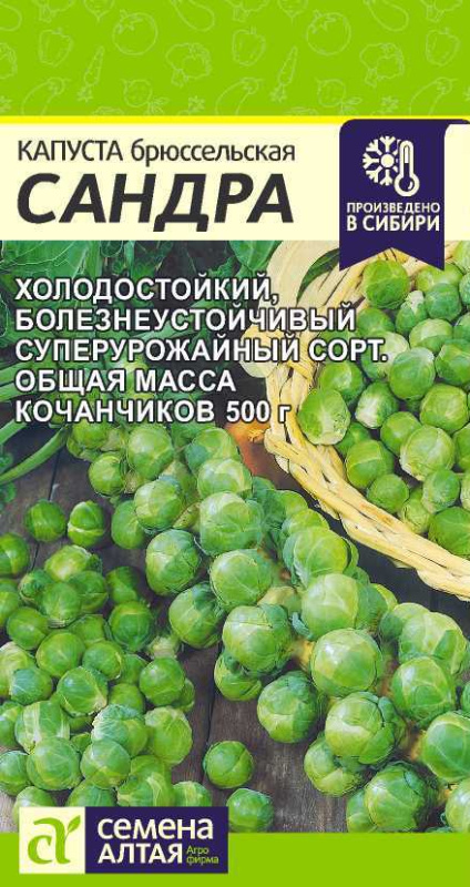 Семена Капуста Брюссельская Сандра, 0,5 г - фото