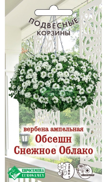 Семена Вербена ампельная Обсешн Снежное Облако, 3 шт - фото