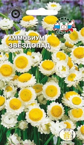 Семена Аммобиум Звездопад, 0,2 г - фото