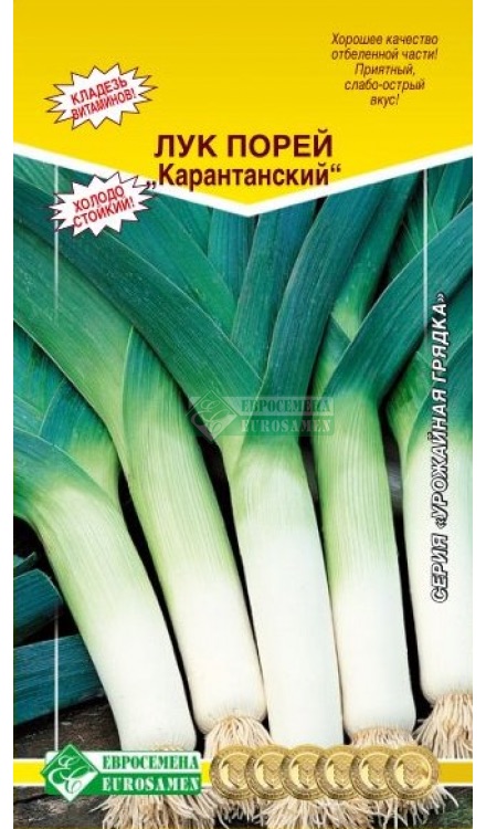 Семена Лук порей Карантанский, 0,5 г Евросемена - фото