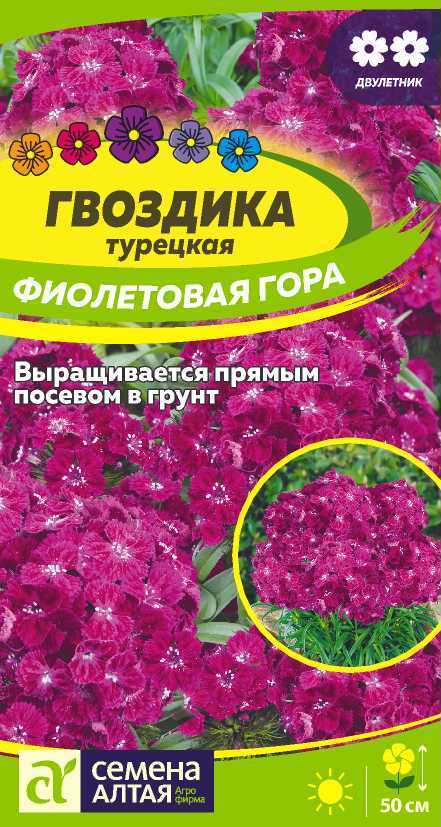 Семена Гвоздика турецкая Фиолетовая гора, 0,1 г - фото
