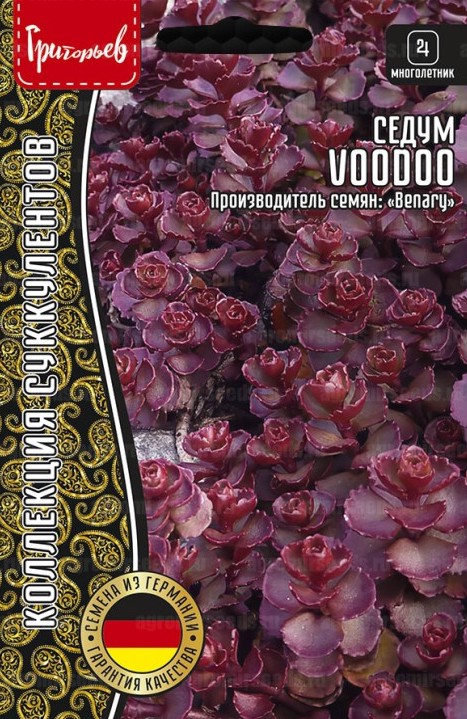 Семена Седум Voodoo, 5 шт - фото