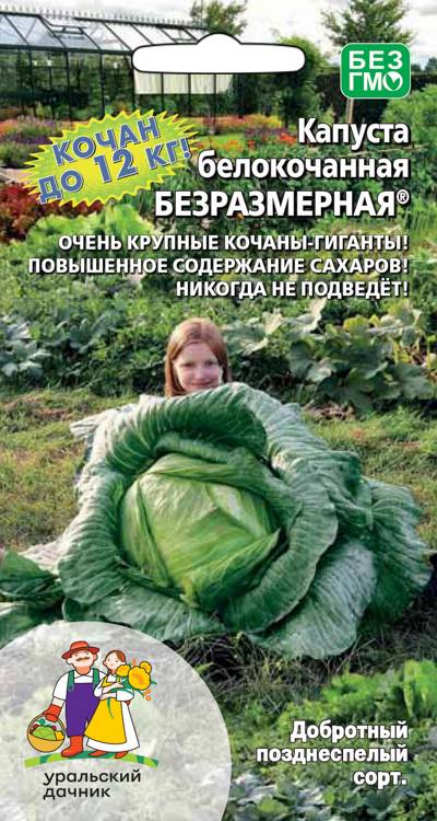 Семена Капуста белокочанная Безразмерная, 0,3 г - фото