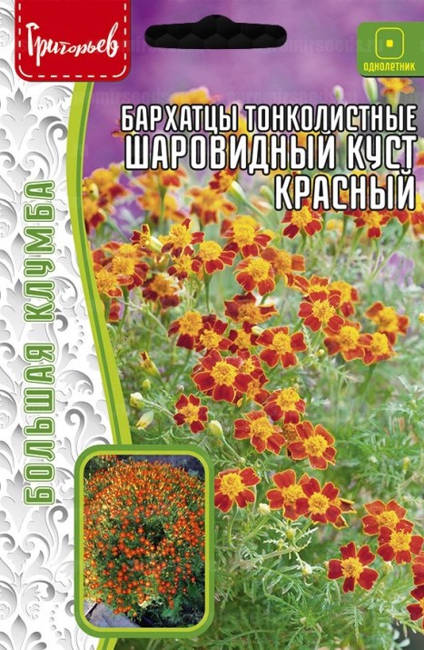 Семена Бархатцы Шаровидный Куст Красный тонколистные, 50 шт - фото