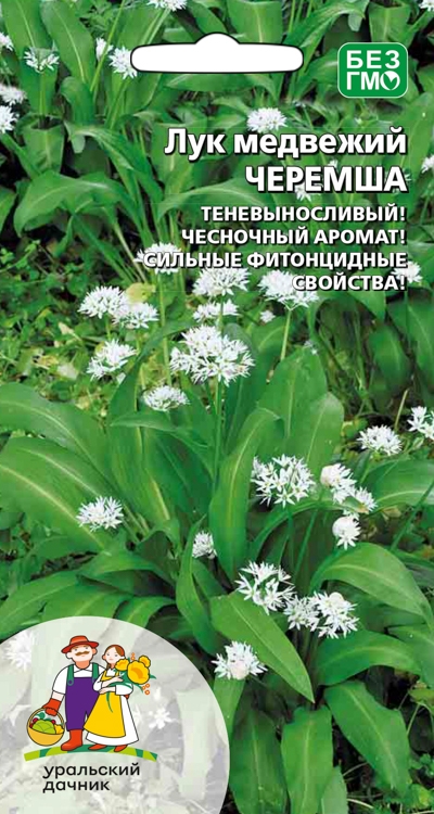 Семена Лук медвежий Черемша, 0,25 г УД - фото