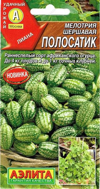 Семена Мелотрия (Мышиная дыня) Полосатик, 10 шт - фото