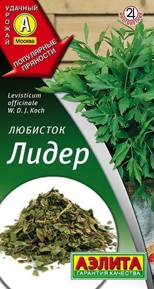 Семена Любисток Лидер, 0,3 г - фото