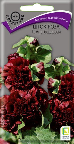 Семена Шток-роза Темно-бордовая, 0,1 г - фото