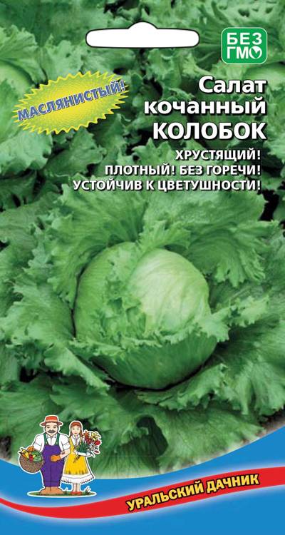 Семена Салат кочанный Колобок, 0,25 г - фото