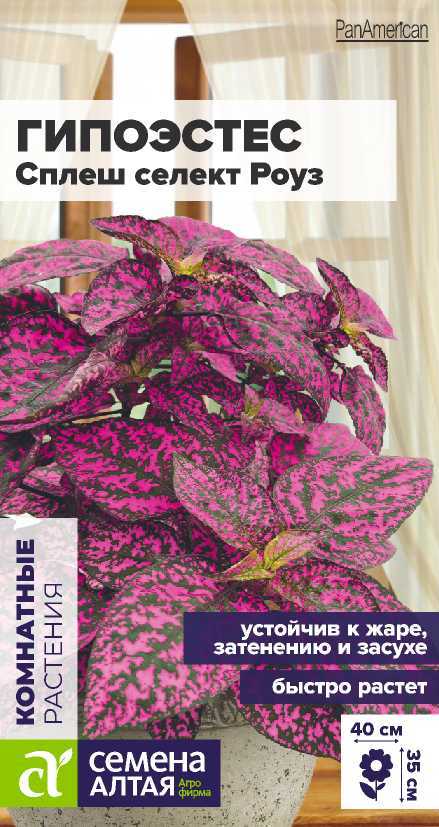 Семена Гипоэстес Сплеш селект Роуз, 5 шт - фото