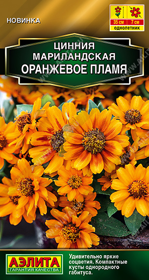Семена Цинния мариландская Оранжевое пламя, 15 шт - фото