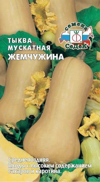 Семена Тыква Жемчужина мускатная, 1 г - фото