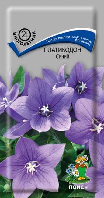 Семена Платикодон Синий, 0,1 г - фото
