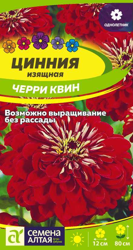 Семена Цинния Черри Квин, 0,2 г - фото