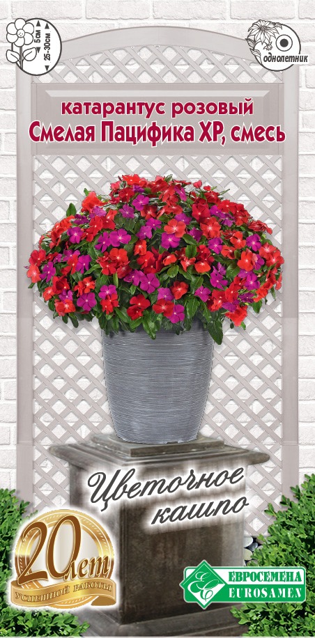 Семена Катарантус розовый Смелая Пацифика ХР смесь, 10 шт - фото