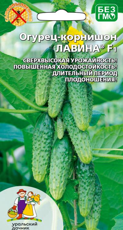 Семена Огурец-корнишон Лавина F1, 8 шт - фото