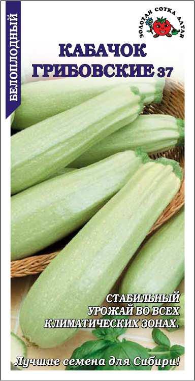 Семена Кабачок Грибовские 37, 2 г Золотая Сотка Алтая - фото