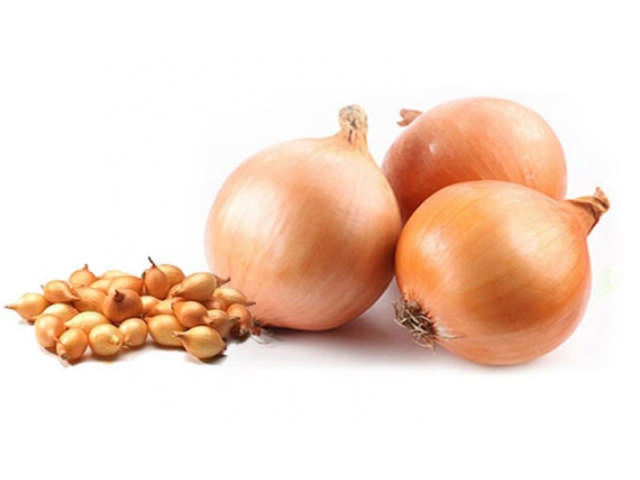 Лук-севок Штур БС-20 10-21 мм, 500 г - фото