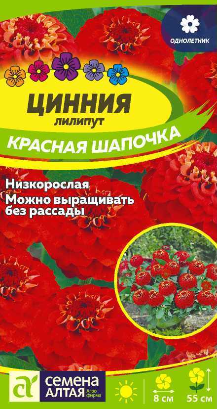 Семена Цинния лилипут Красная шапочка, 0,2 г - фото