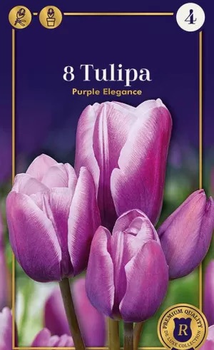 Тюльпан Purple Elegance, 1 шт - фото