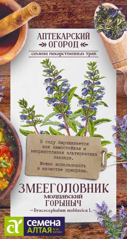 Семена Змееголовник Горыныч, 0,3 г - фото