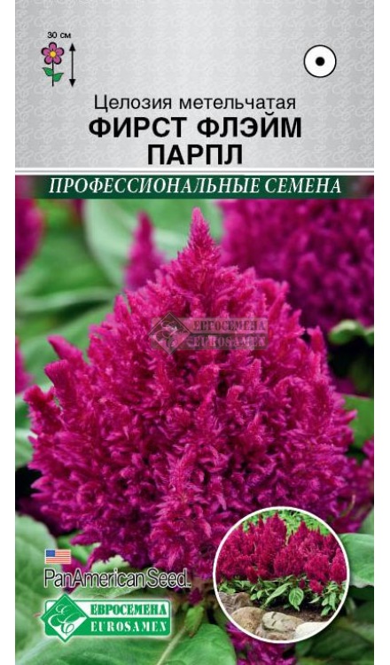 Семена Целозия метельчатая Фирст Флэйм Парпл, 10 шт - фото