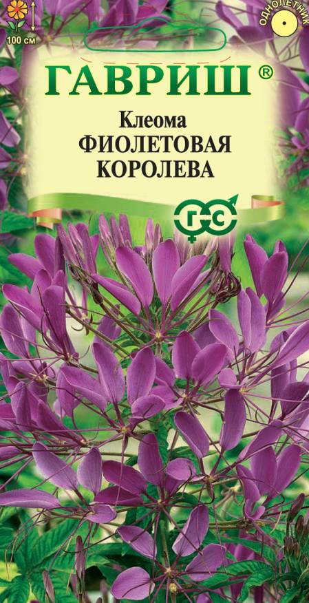 Семена Клеома Фиолетовая королева, 0,2 г - фото
