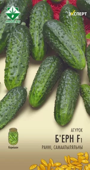 Семена Огурец Бьерн F1, 10 шт МинскСортСемОвощ - фото