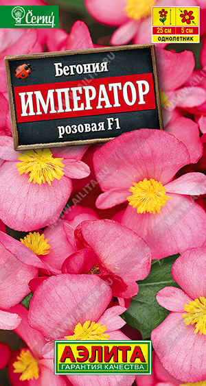 Семена Бегония вечноцветущая Император розовая F1, 10 шт - фото