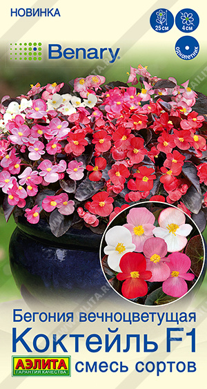 Семена Бегония вечноцветущая Коктейль F1 смесь сортов, 7 шт - фото