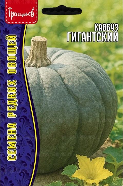Семена Кавбуз Гигантский, 3 шт - фото