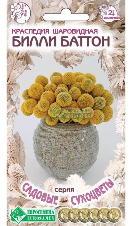 Семена Краспедия шаровидная Билли Баттон, 0,05 г - фото