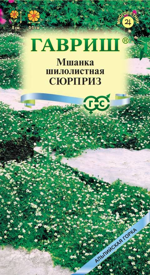 Семена Мшанка шилолистная Сюрприз, 0,01 г - фото