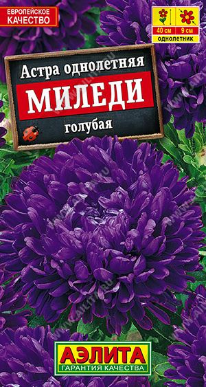 Семена Астра Миледи голубая, 0,2 г - фото