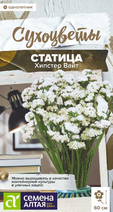 Семена Статица Хипстер Вайт, 5 шт - фото