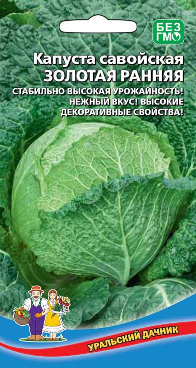 Семена Капуста савойская Золотая раняя, 0,25 г - фото