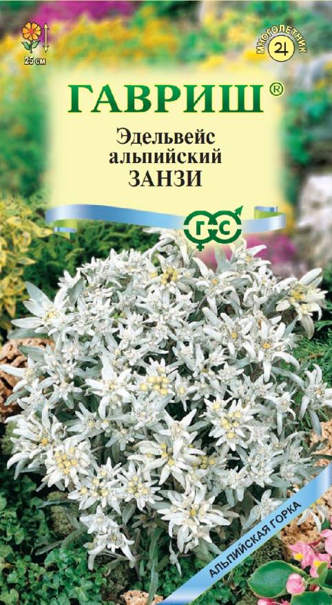 Семена Эдельвейс альпийский Занзи, 0,01 г - фото