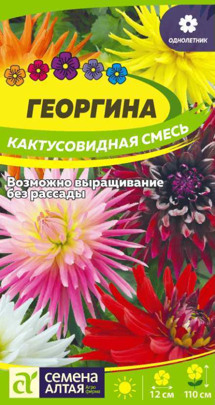 Семена Георгина Кактусовидная смесь, 0,1 г - фото